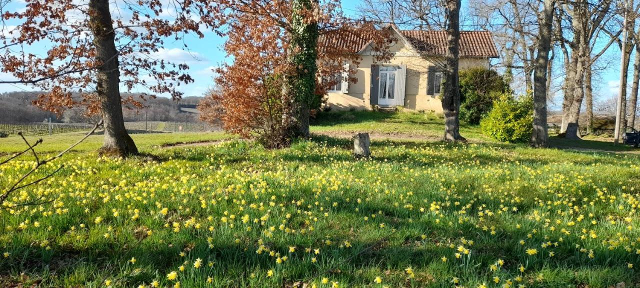 Villa Moulin De Bigorre Saint-Genès-de-Castillon Esterno foto