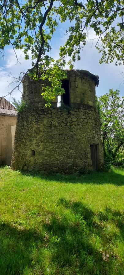 Villa Moulin De Bigorre Saint-Genès-de-Castillon Esterno foto